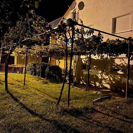 Entire 1-Bedroom Apartment With Free Parking Podgorica Exterior foto